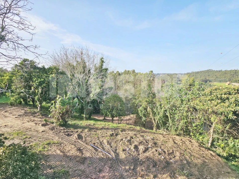 Moradia T1 para Venda em Trofa, Segadães e Lamas do Vouga Foto 18