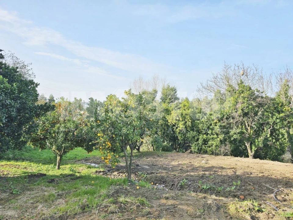 Moradia T1 para Venda em Trofa, Segadães e Lamas do Vouga Foto 16