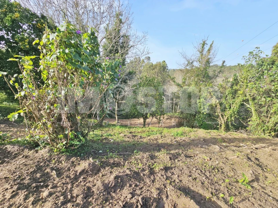 Moradia T1 para Venda em Trofa, Segadães e Lamas do Vouga Foto 23