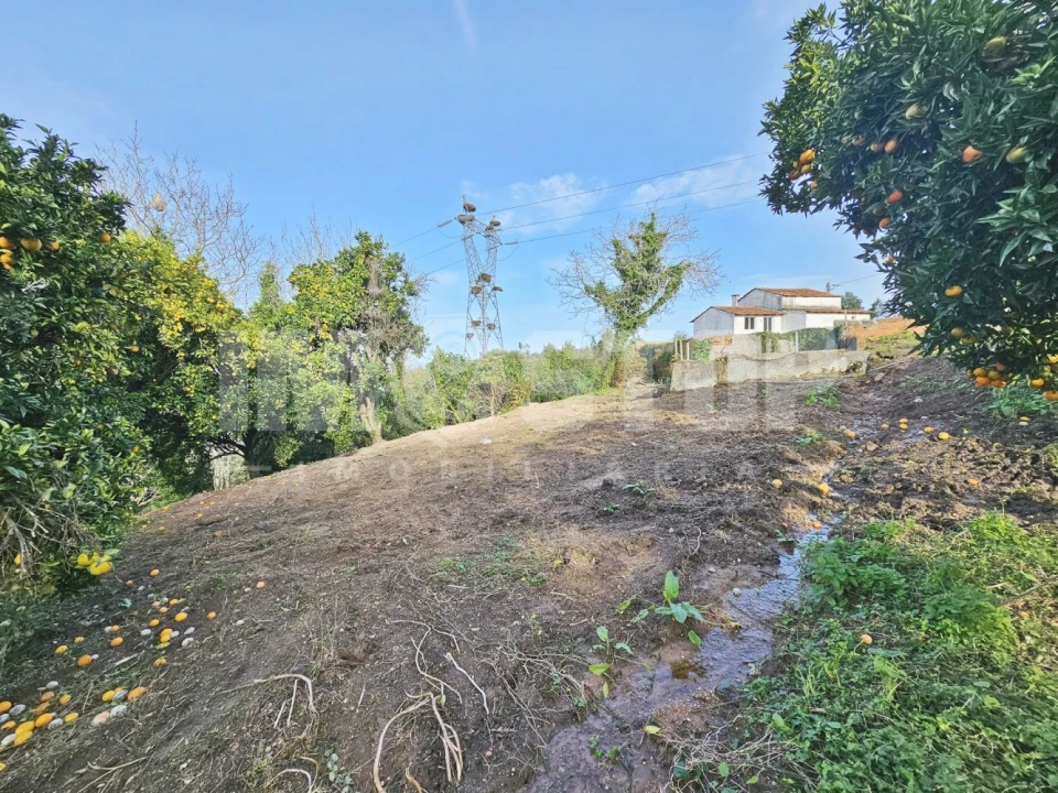 Moradia T1 para Venda em Trofa, Segadães e Lamas do Vouga Foto 20