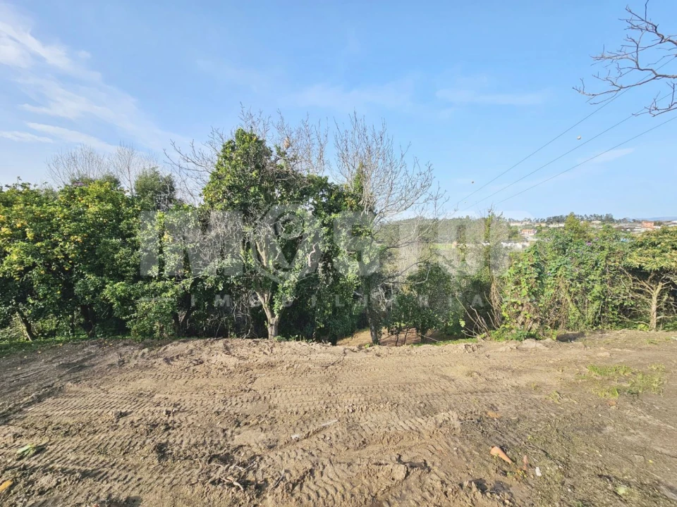 Moradia T1 para Venda em Trofa, Segadães e Lamas do Vouga Foto 22