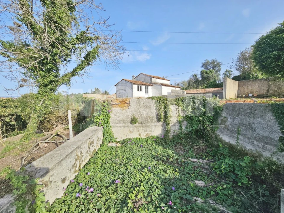 Moradia T1 para Venda em Trofa, Segadães e Lamas do Vouga Foto 13