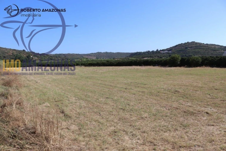 Terreno para Venda em Silves Foto 2
