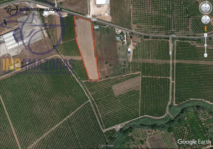 Terreno para Venda em Silves Foto 4