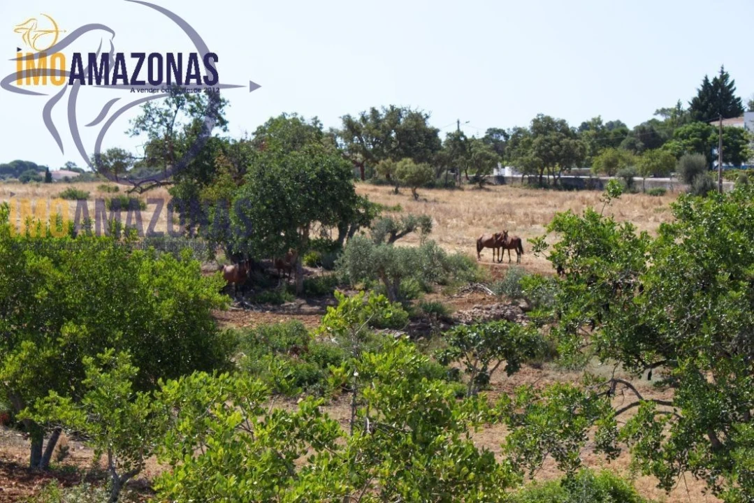 Terreno para Venda em Estômbar e Parchal Foto 2
