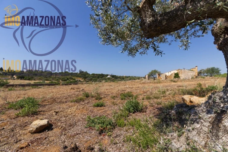 Terreno para Venda em Estômbar e Parchal Foto 1