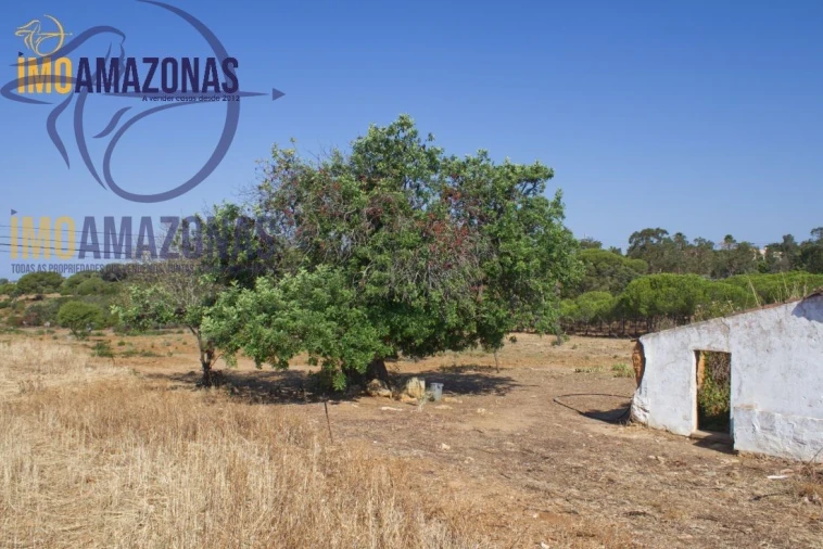 Terreno para Venda em Estômbar e Parchal Foto 5