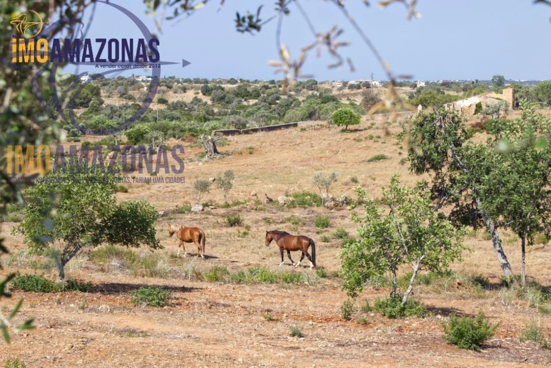 Terreno para Venda em Estômbar e Parchal Foto 3