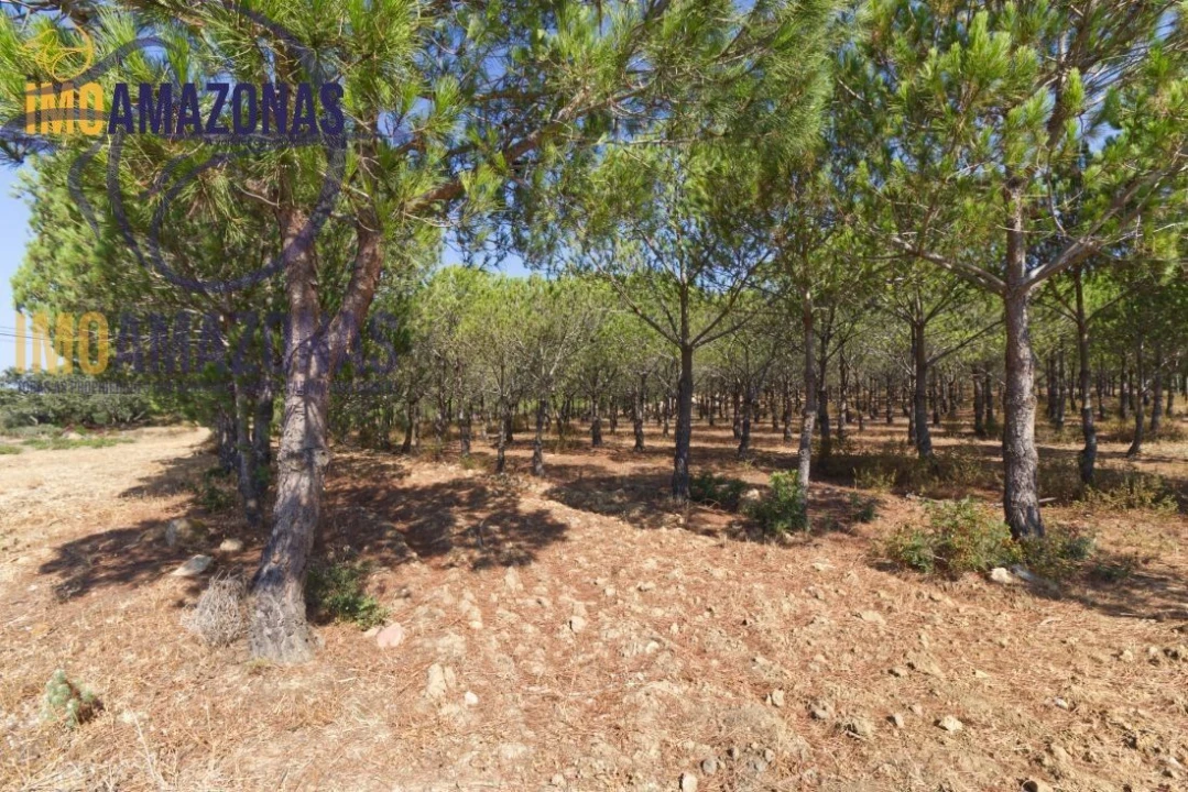 Terreno para Venda em Estômbar e Parchal Foto 4