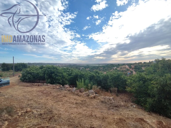 Terreno para Venda em Silves Foto 14
