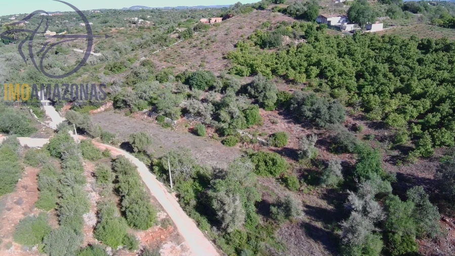 Terreno para Venda em Silves Foto 25