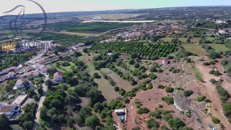 Terreno para Venda em Silves Foto 9