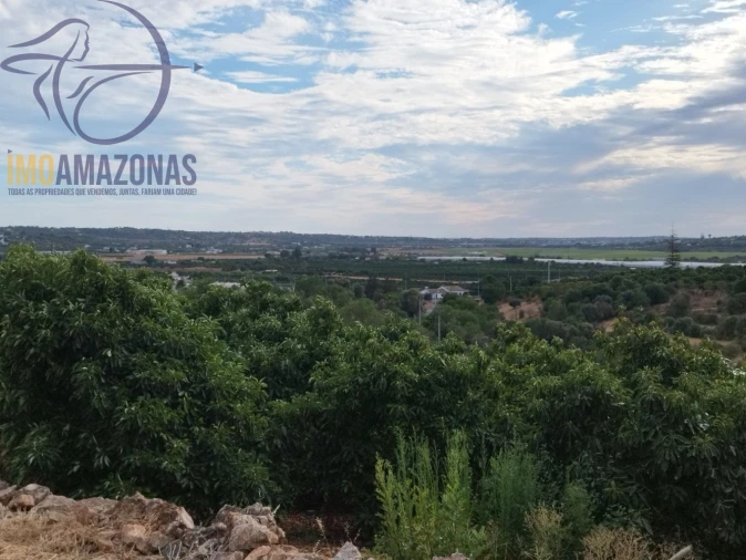 Terreno para Venda em Silves Foto 13