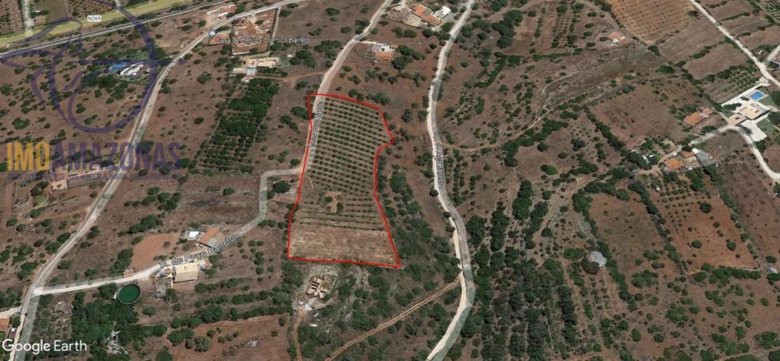 Terreno para Venda em Silves Foto 7