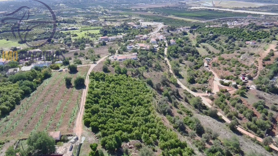 Terreno para Venda em Silves Foto 1