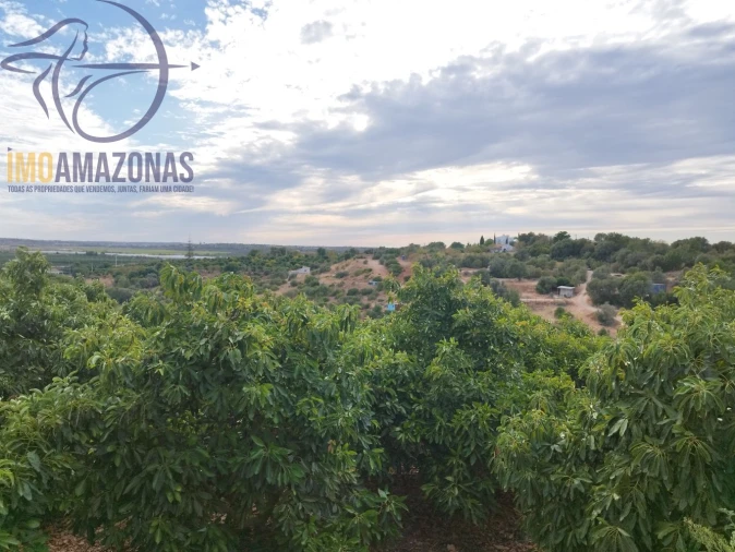 Terreno para Venda em Silves Foto 18