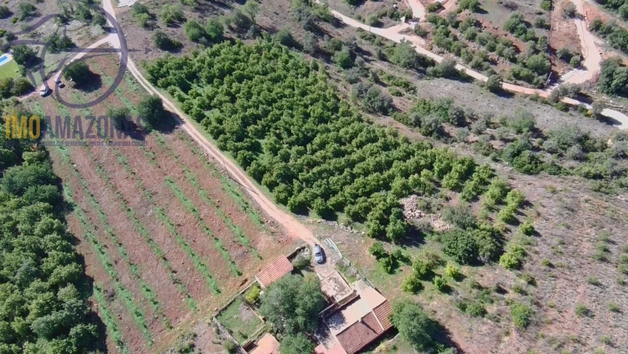 Terreno para Venda em Silves Foto 5