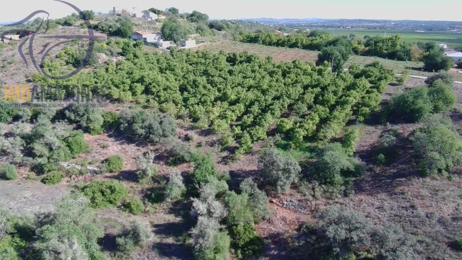 Terreno para Venda em Silves Foto 24