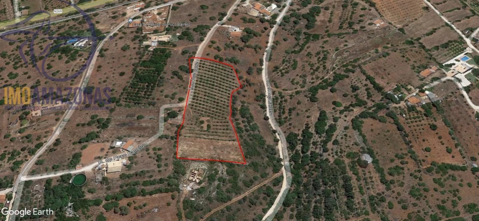 Terreno para Venda em Silves Foto 7