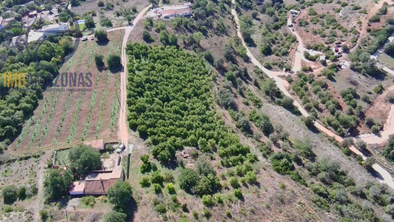 Terreno para Venda em Silves Foto 12