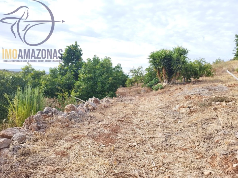Terreno para Venda em Silves Foto 10