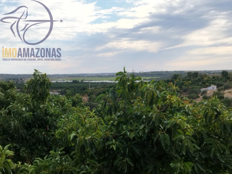 Terreno para Venda em Silves Foto 15