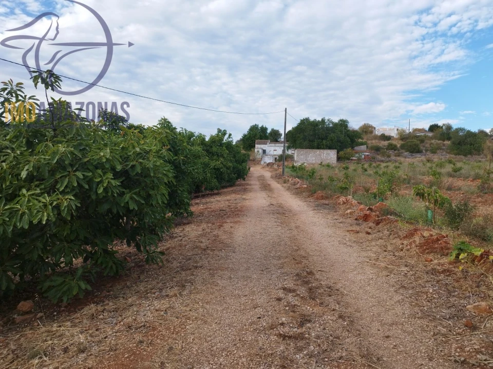 Terreno para Venda em Silves Foto 2