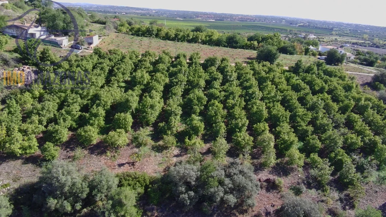 Terreno para Venda em Silves Foto 21