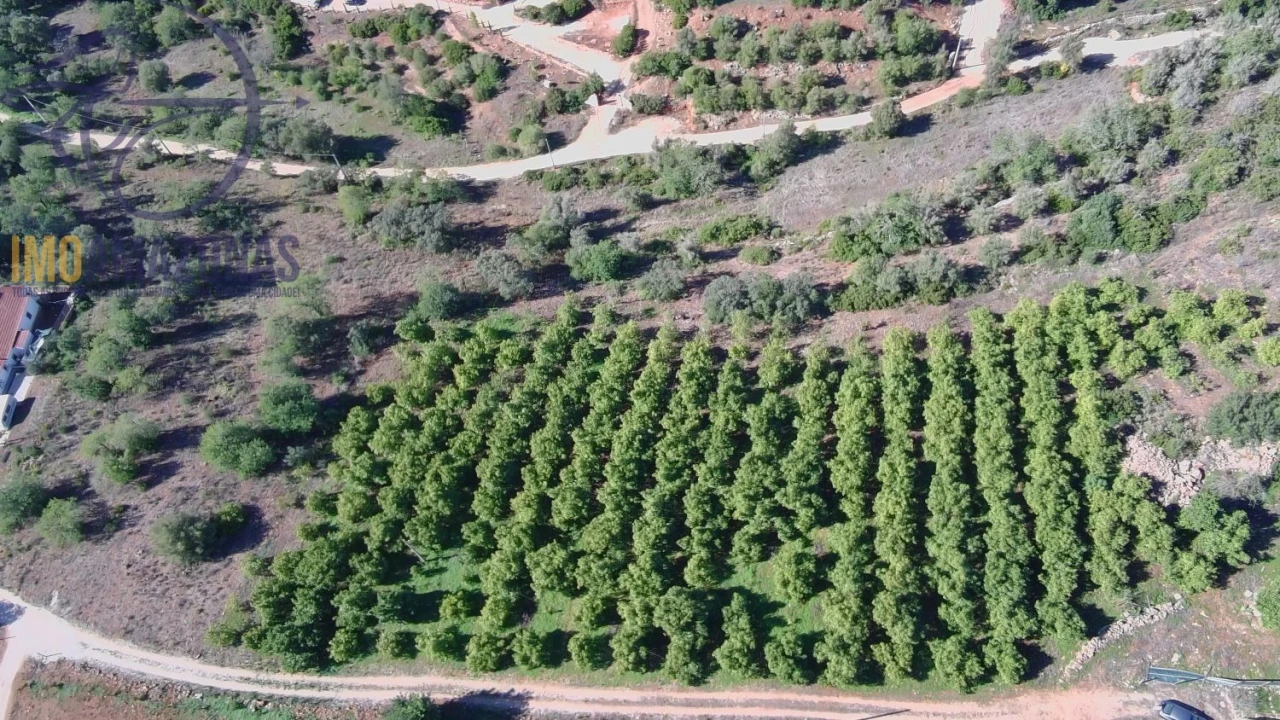 Terreno para Venda em Silves Foto 17