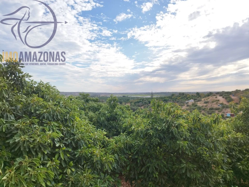 Terreno para Venda em Silves Foto 16