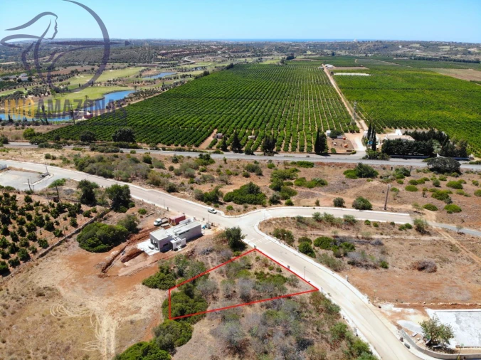 Terreno para Venda em Alcantarilha e Pêra Foto 11