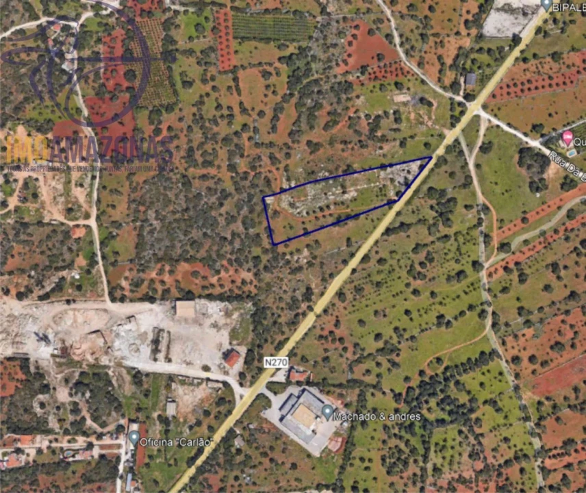 Terreno para Venda em Loule (São Sebastião) Foto 3