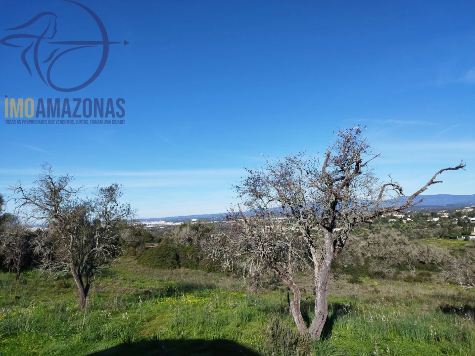 Moradia T2 para Venda em Lagoa e Carvoeiro Foto 11