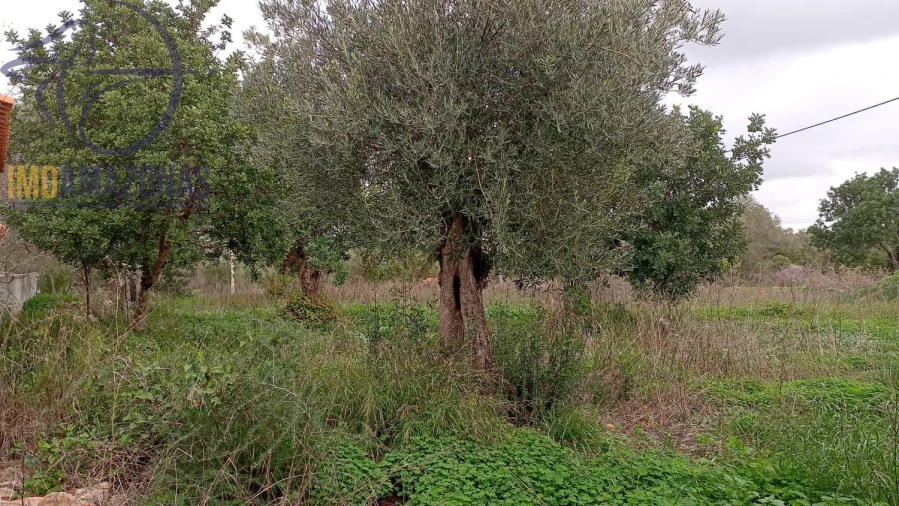 Moradia T2 para Venda em Silves Foto 5