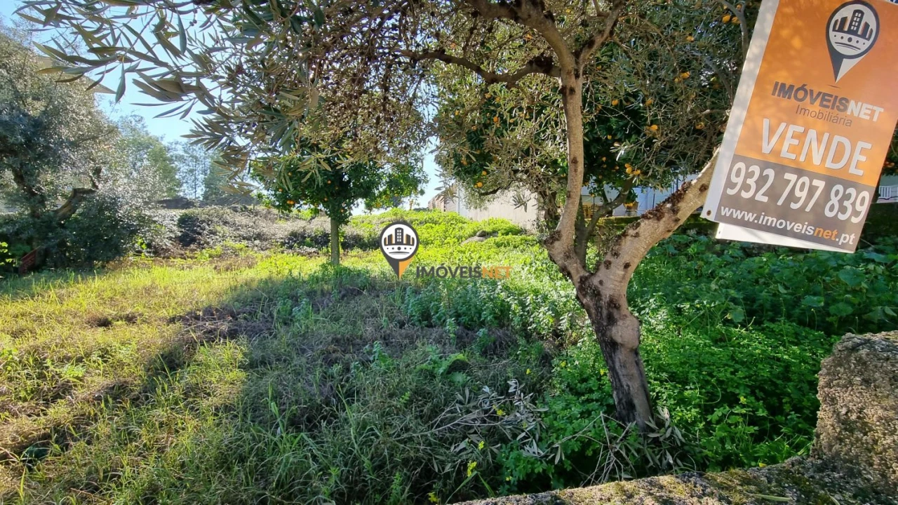 Terreno para Venda em Castelo Branco Foto 19