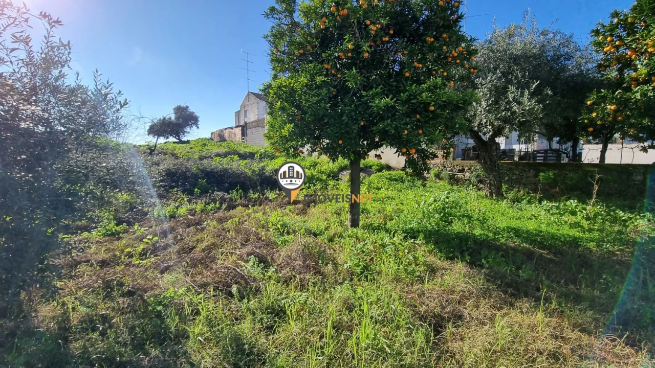 Terreno para Venda em Castelo Branco Foto 13