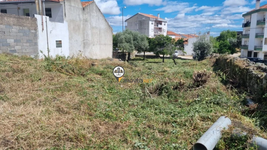 Terreno para Venda em Castelo Branco Foto 5