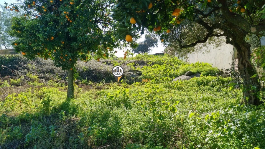Terreno para Venda em Castelo Branco Foto 10