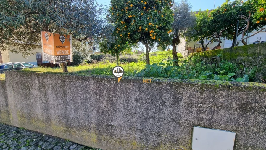 Terreno para Venda em Castelo Branco Foto 3