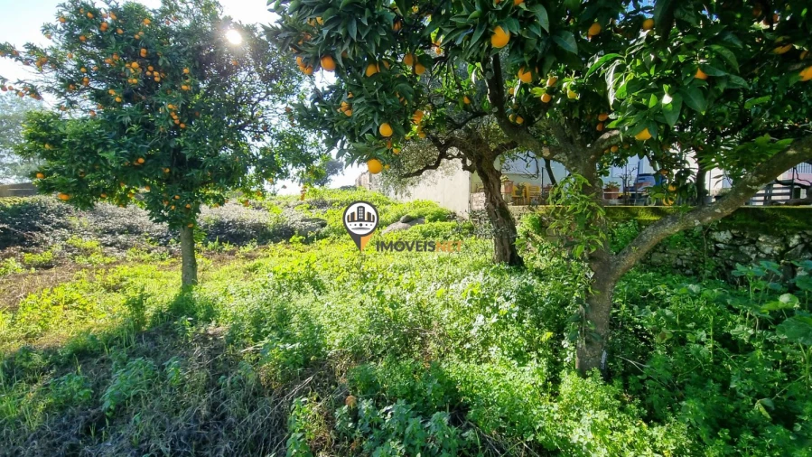 Terreno para Venda em Castelo Branco Foto 2