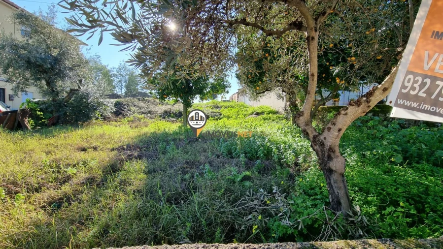 Terreno para Venda em Castelo Branco Foto 18