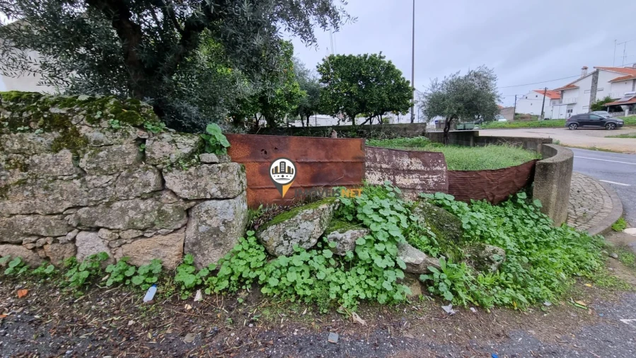 Terreno para Venda em Castelo Branco Foto 7