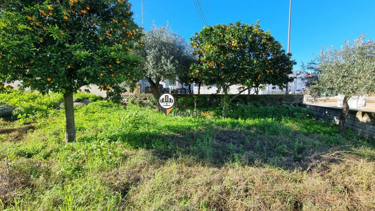 Terreno para Venda em Castelo Branco Foto 12