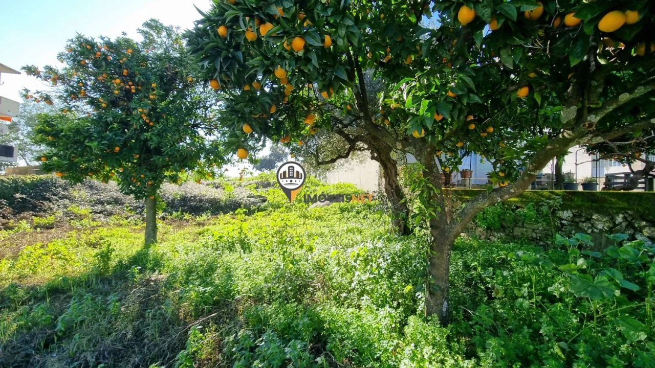 Terreno para Venda em Castelo Branco Foto 11
