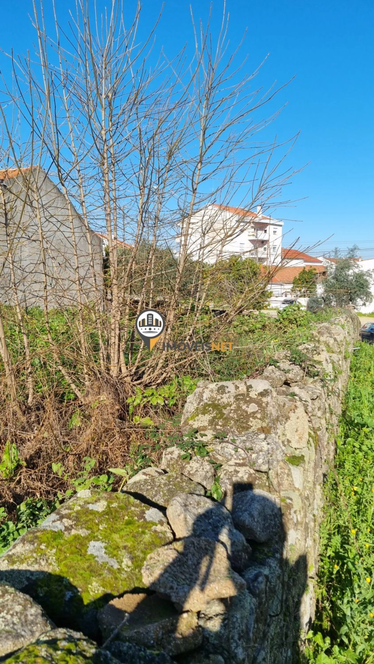 Terreno para Venda em Castelo Branco Foto 14