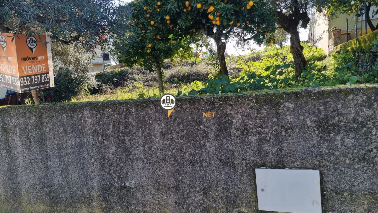 Terreno para Venda em Castelo Branco Foto 16