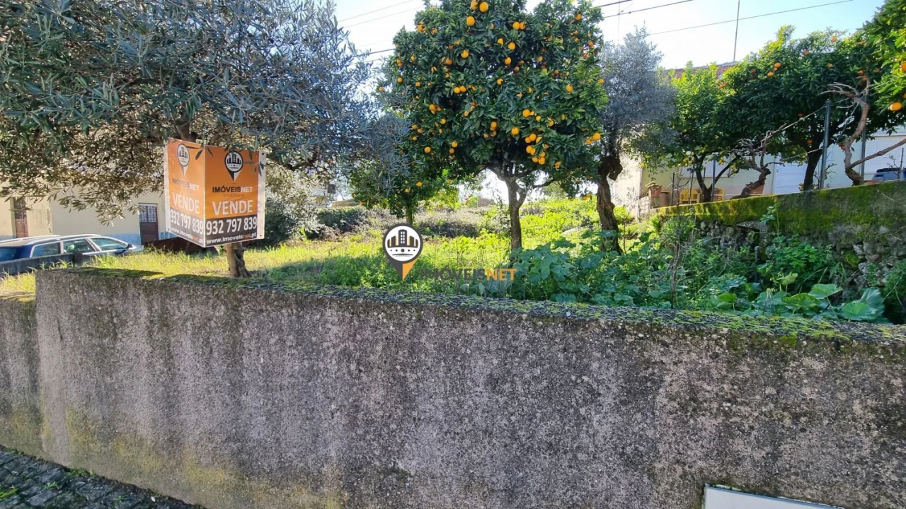 Terreno para Venda em Castelo Branco Foto 17