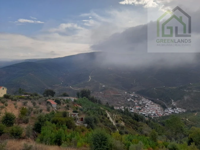 Moradia T4 para Venda em Côja e Barril de Alva Foto 40