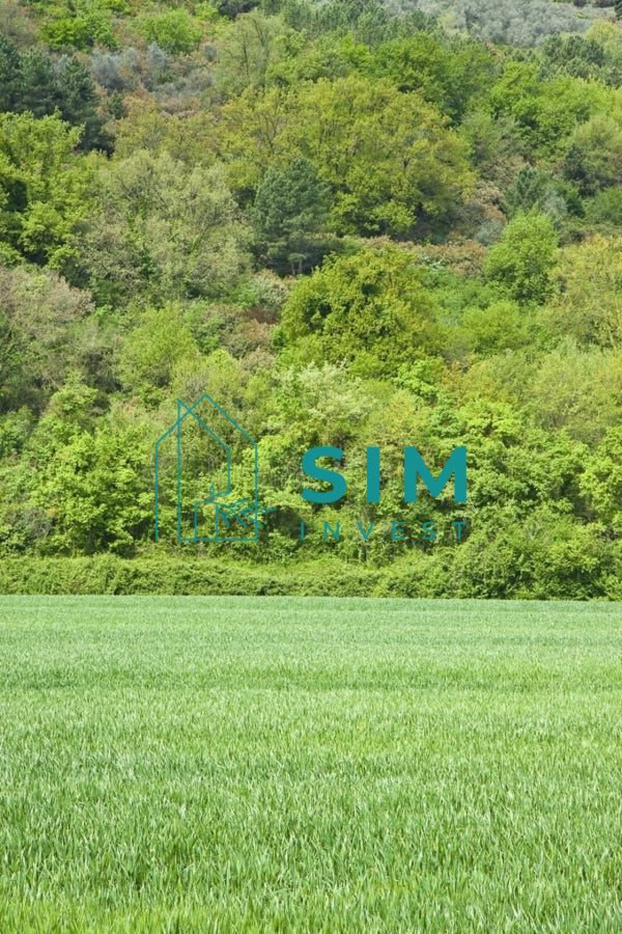 Terreno para Venda em Alfeizerão Foto 2
