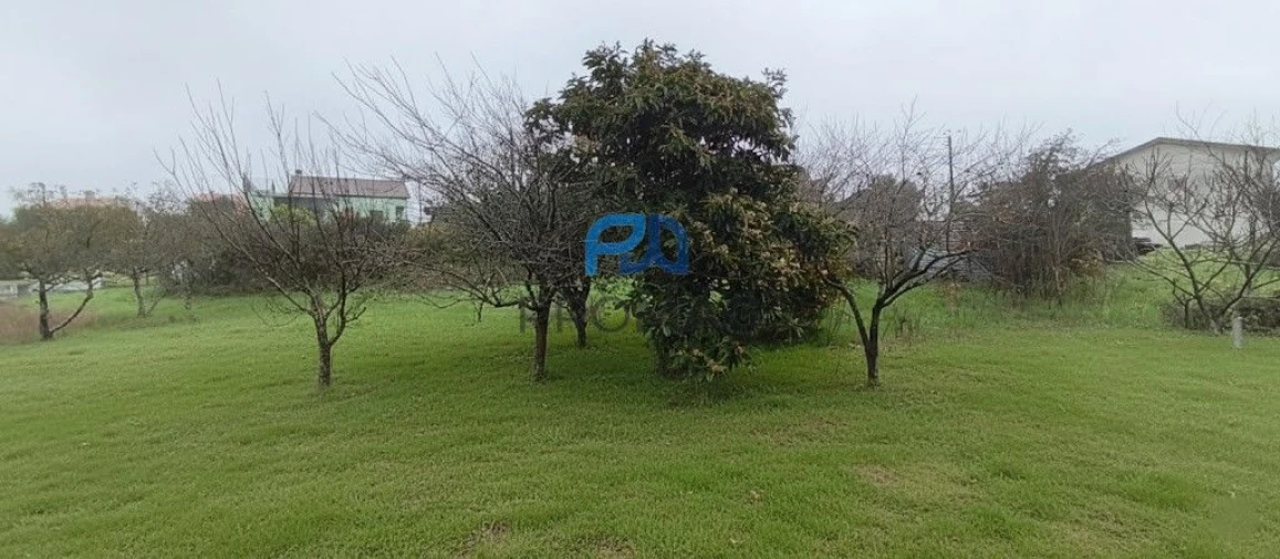 Terreno para Venda em Canelas e Fermelã Foto 10
